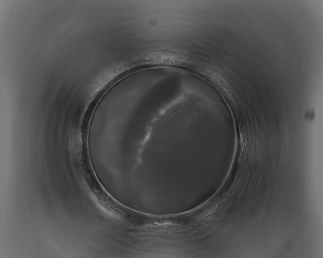 X0000089920674200707061020
