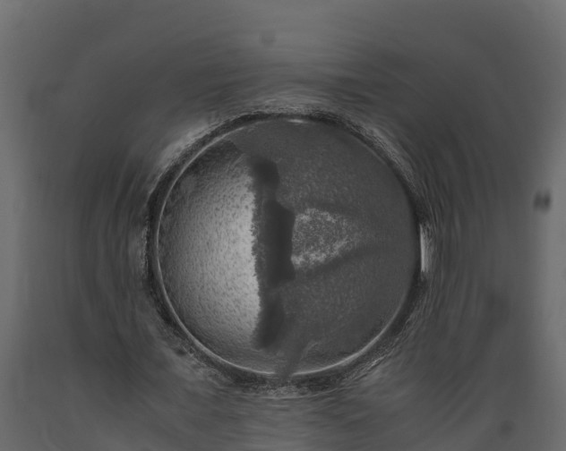 X0000089920675200707061020