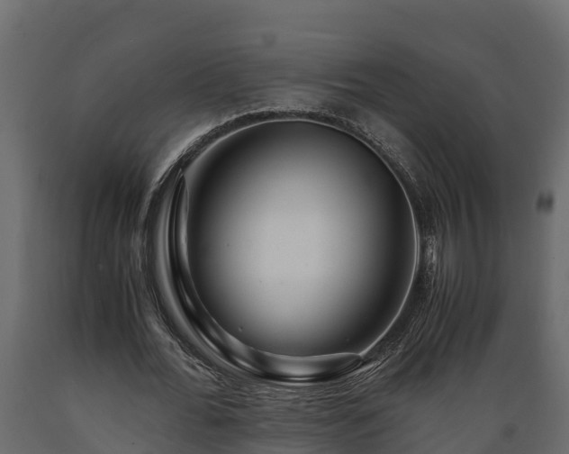 X0000089920676200707061020