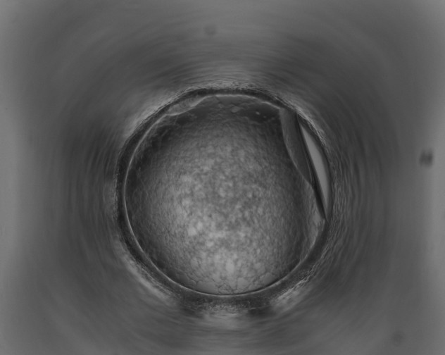 X0000089920677200707061020