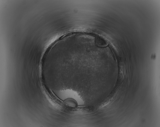 X0000089920678200707061020