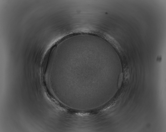 X0000089920680200707061020