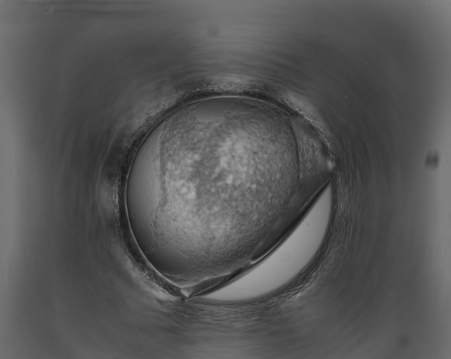 X0000089920681200707061019