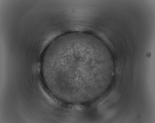 X0000089920683200707061019