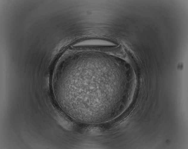 X0000089920685200707061019