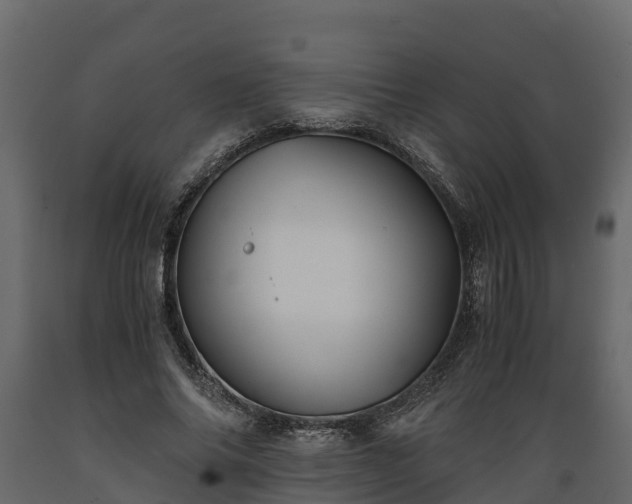 X0000089920686200707061019