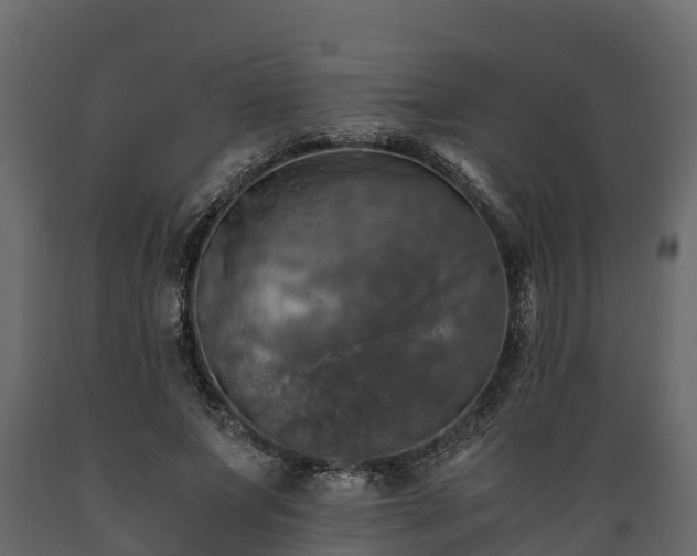 X0000089920687200707061019
