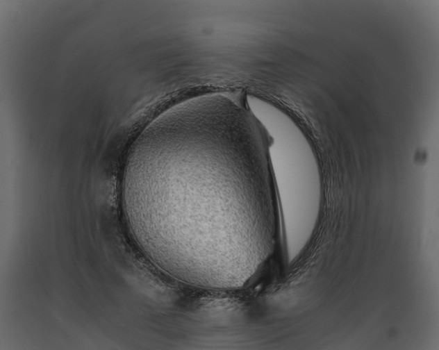 X0000089920689200707061019