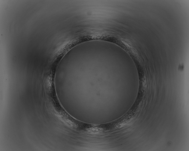 X0000089920691200707061019