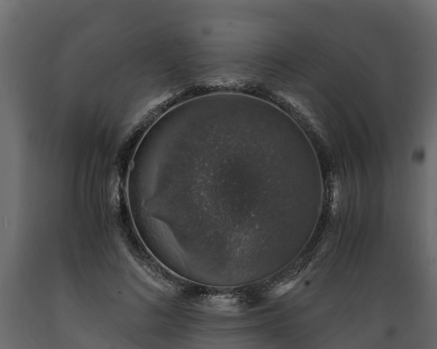 X0000089920692200707061019