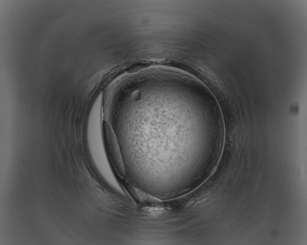 X0000089920693200707061019