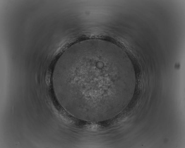 X0000089920695200707061019