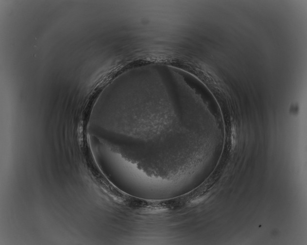 X0000089920696200707061019