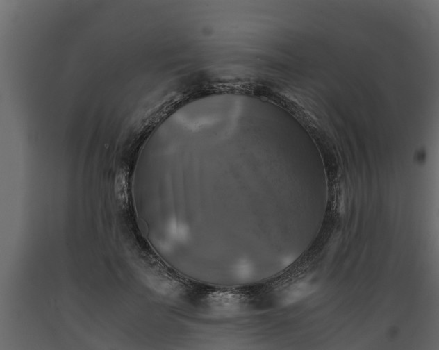 X0000089920699200707061019
