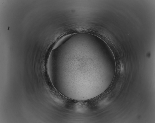 X0000089920700200707061019