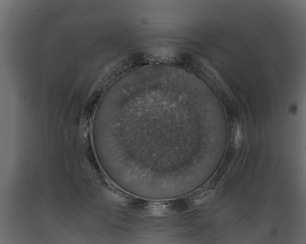X0000089920701200707061019