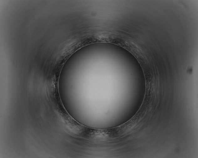X0000089920702200707061019