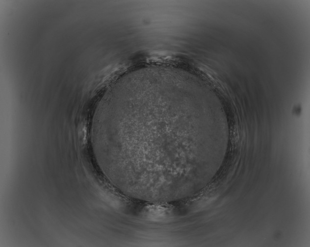 X0000089920703200707061019