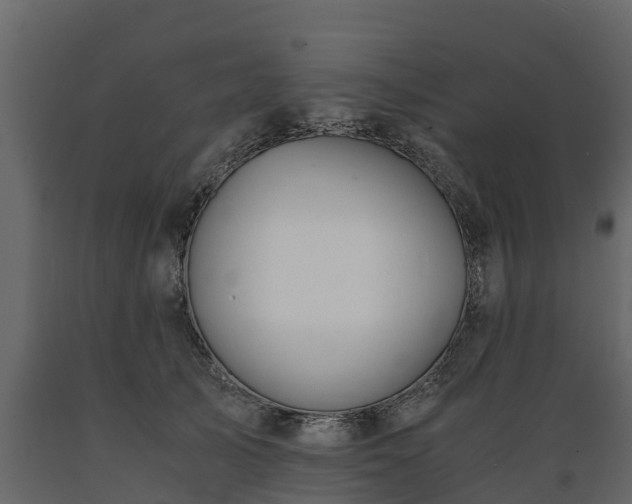 X0000089920705200707061019