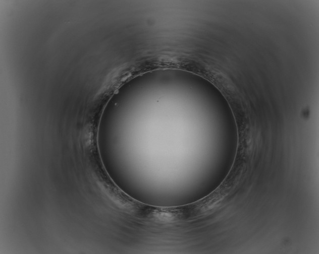 X0000089920706200707061019