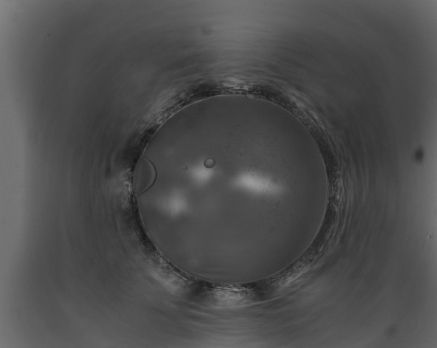 X0000089920707200707061019