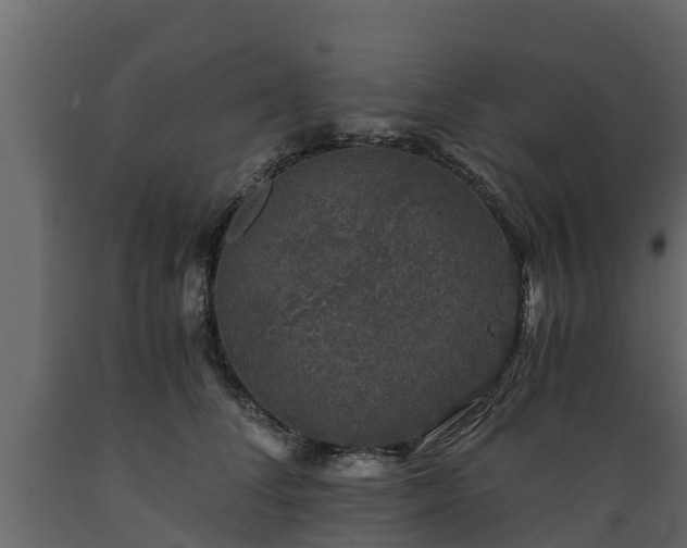 X0000089920708200707061019
