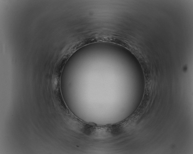 X0000089920709200707061019