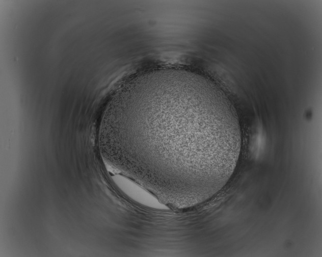 X0000089920710200707061019