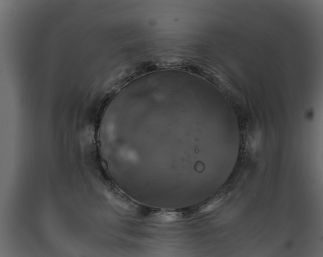 X0000089920711200707061019