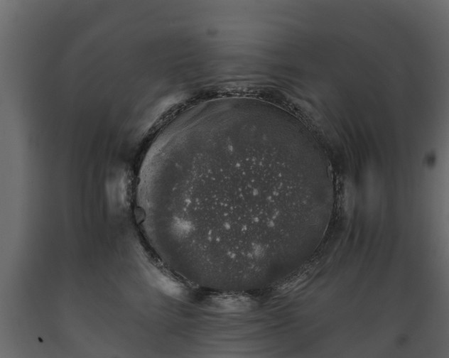 X0000089920712200707061019