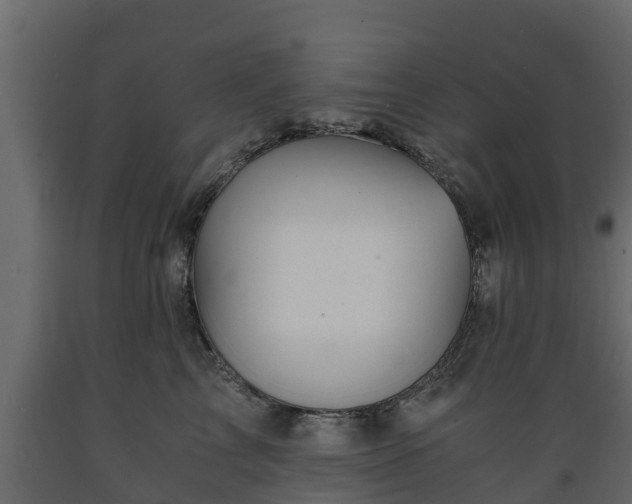 X0000089920713200707061019