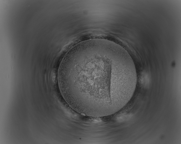 X0000089920715200707061019