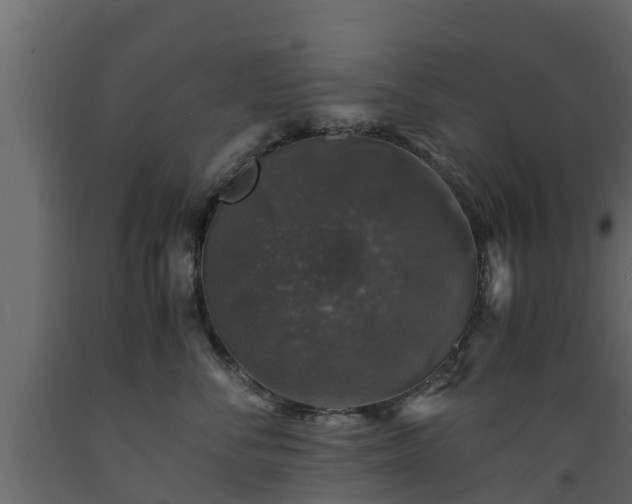 X0000089920716200707061019