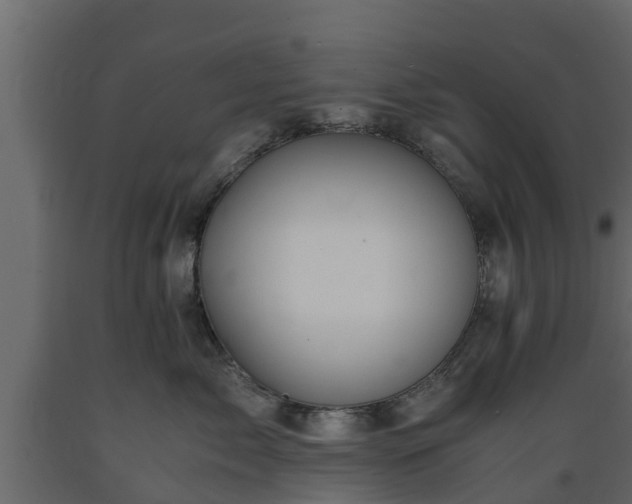 X0000089920717200707061019