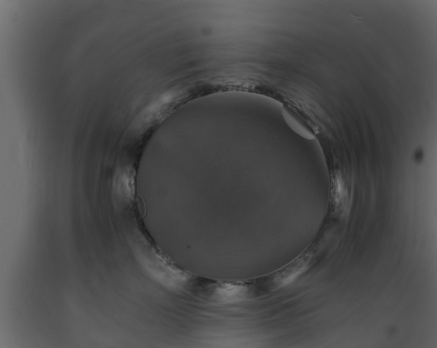 X0000089920718200707061019