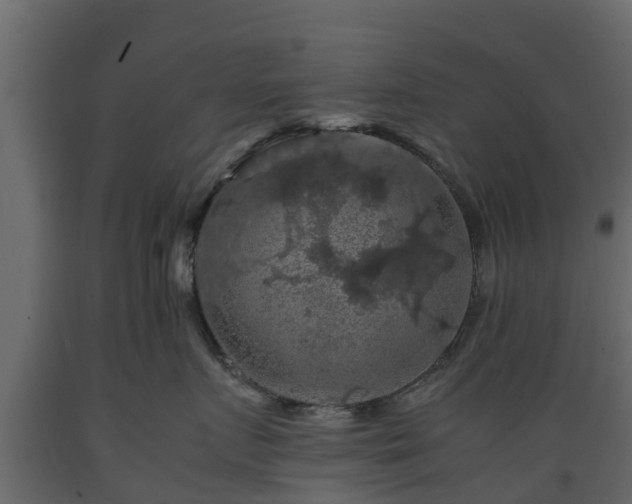 X0000089920719200707061019