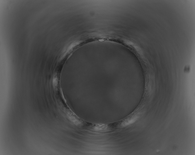 X0000089920720200707061019