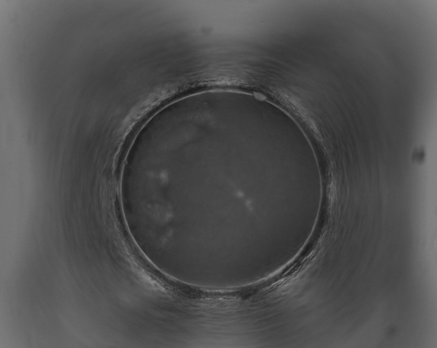 X0000089920721200707061018