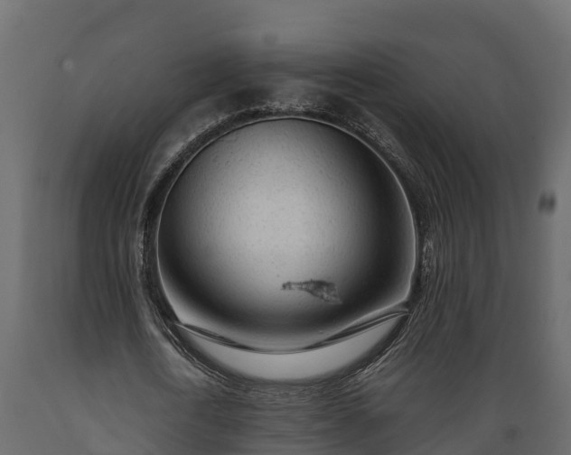 X0000089920722200707061018