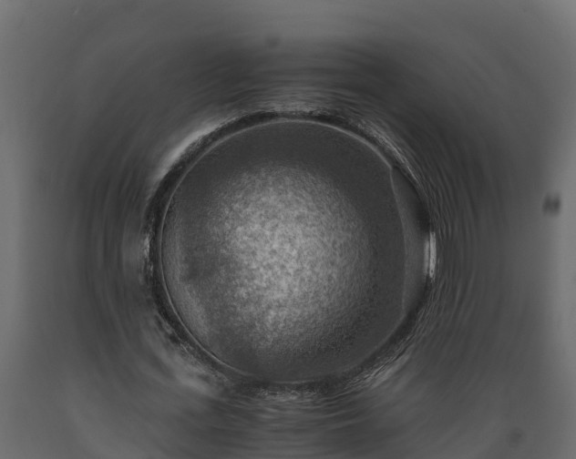 X0000089920723200707061018