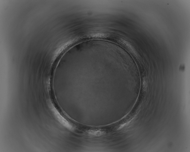 X0000089920725200707061018