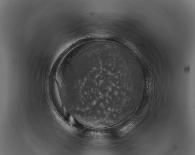 X0000089920726200707061018
