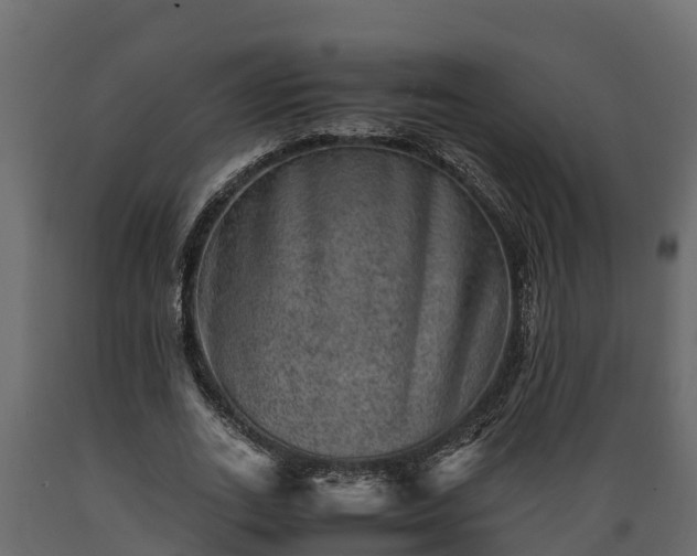 X0000089920727200707061018