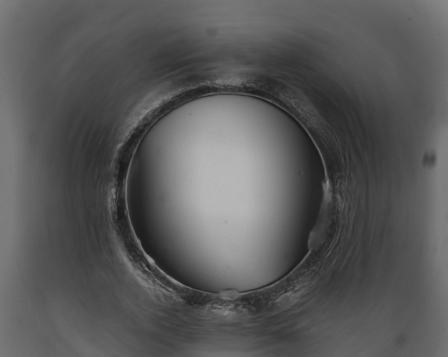 X0000089920728200707061018