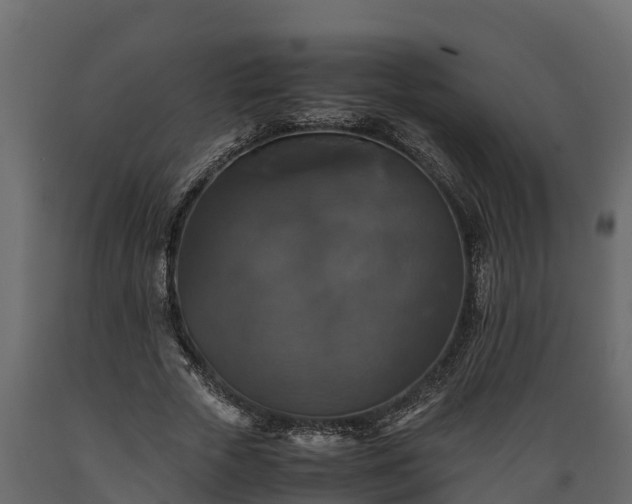 X0000089920729200707061019