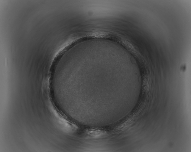 X0000089920730200707061019