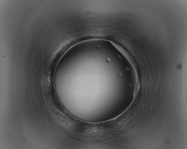 X0000089920731200707061019