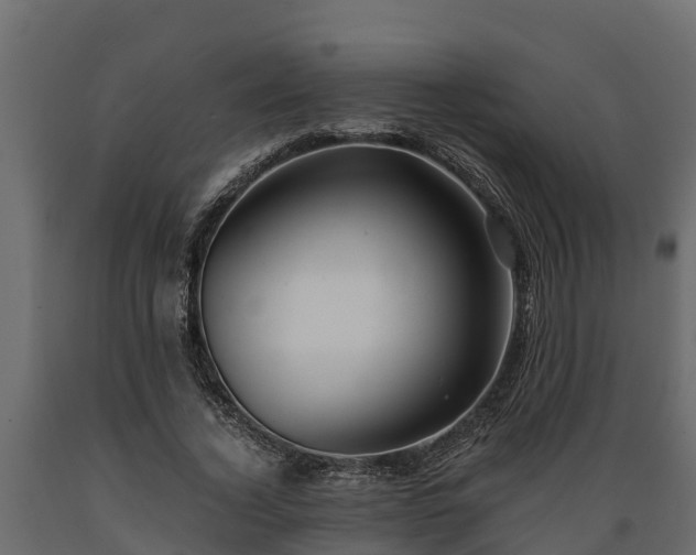 X0000089920732200707061019
