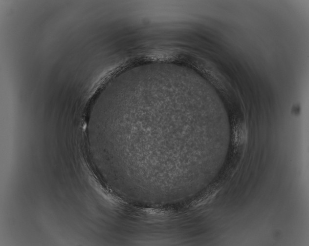 X0000089920733200707061019
