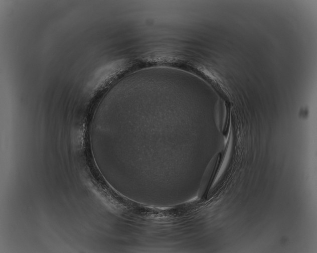 X0000089920735200707061019
